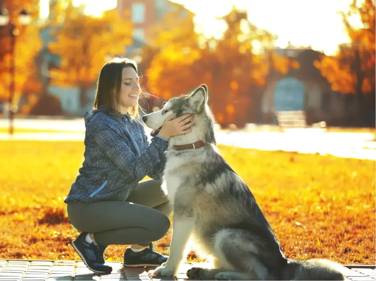 《女人与狗》HD 1080P无删减免费看 - 欧美电影《女人与狗》高清无广告播放 - 百度网盘《女人与狗》无缓冲