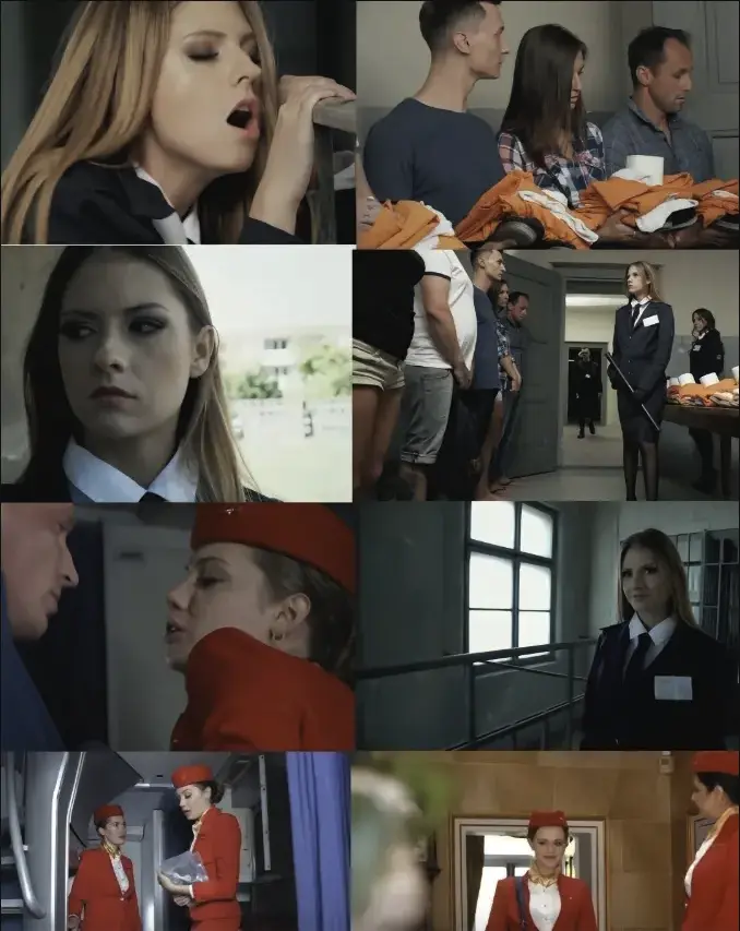 《啄木鸟系列电影合集》相关资源图片