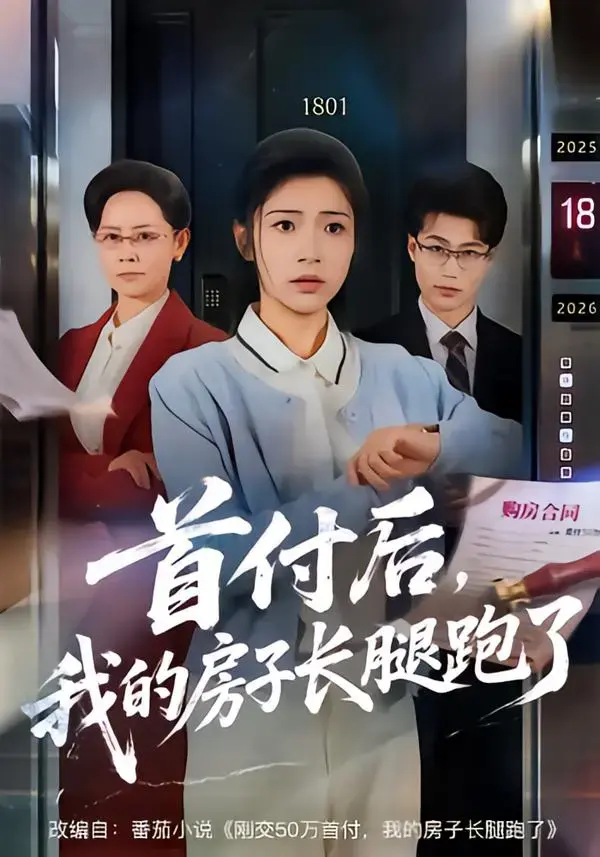 《首付后,我的房子长腿跑了》