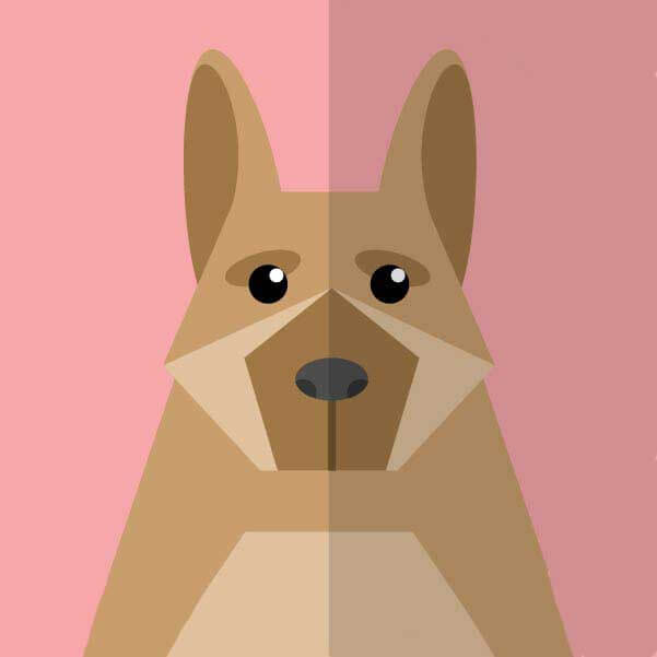 《一起去吃拉面吗》2026韩剧全集HD高清无广告在线观看-最新韩国伦理剧《一起去吃拉面吗》免费看-夸克网盘1080P资源下载