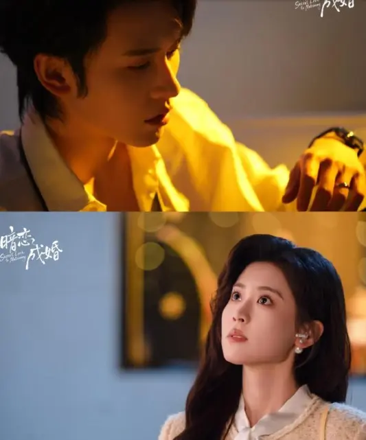 《暗恋成婚》1080P无删减国语完整版-国剧《暗恋成婚》在线观看免费-2026申浩男主演