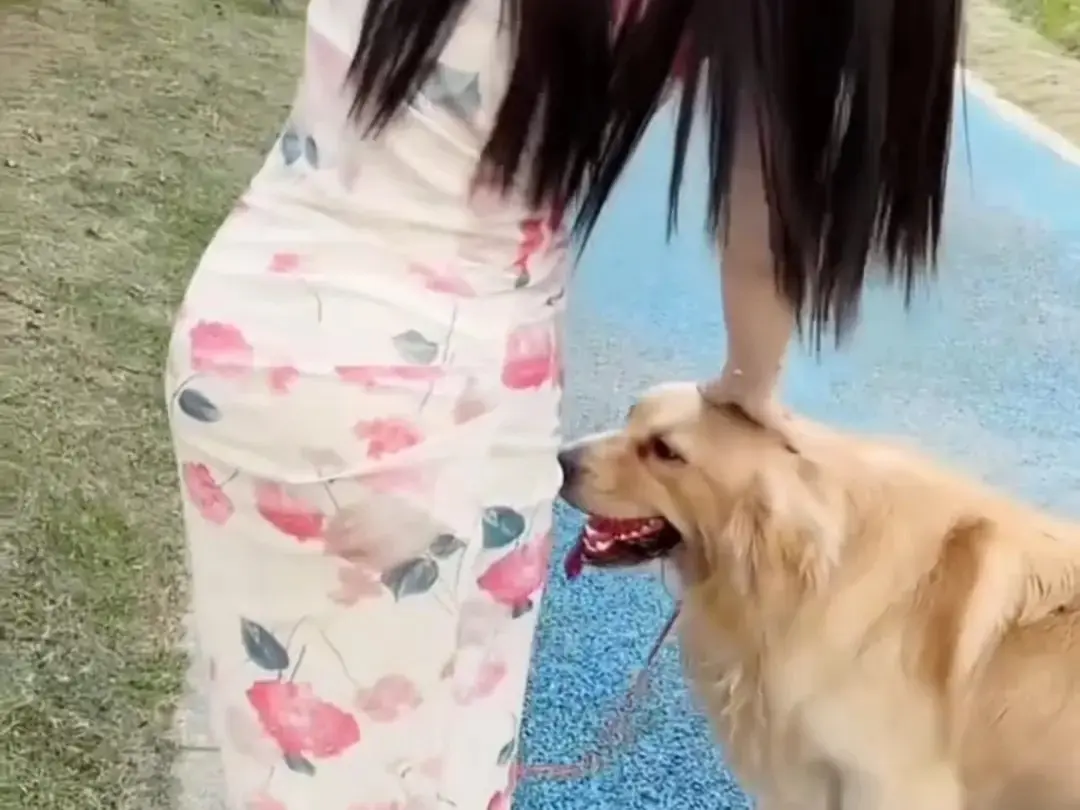 《抖音香香公主与爱犬》直播回放网盘资源免费领