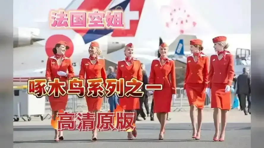 《法国空姐》全集免费观看无广告-4K杜比视界2017-2023三季全收录-《法国空姐》航空职场法剧标杆无删减蓝光资源