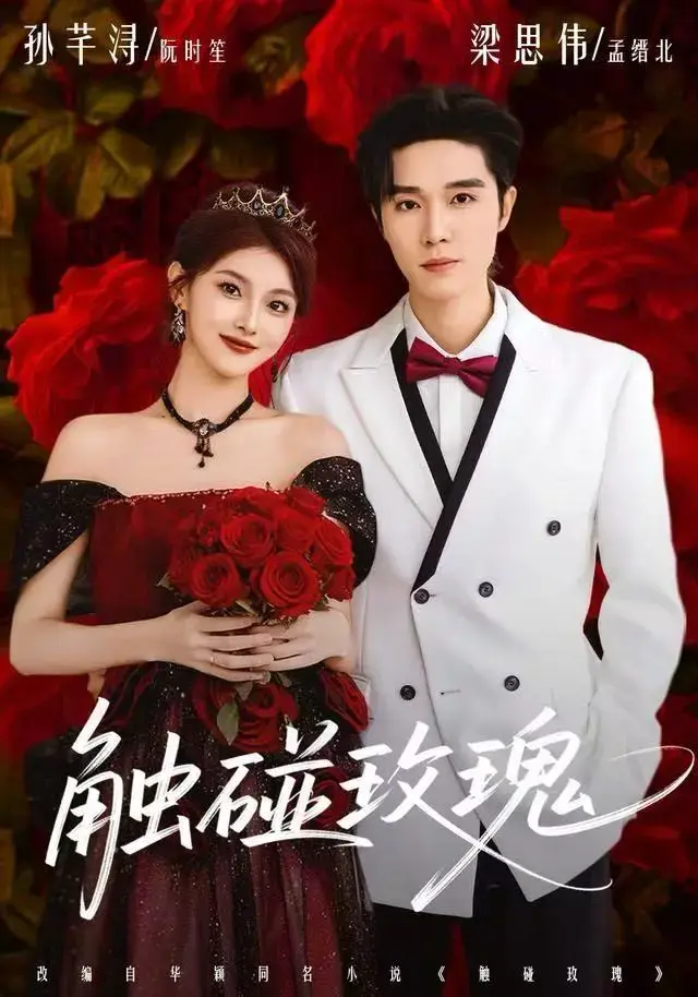 全网热播《触碰玫瑰》全集无删减版-2025最新4K超清-百度云/夸克/迅雷下载-免费在线看《触碰玫瑰》剧情全解析