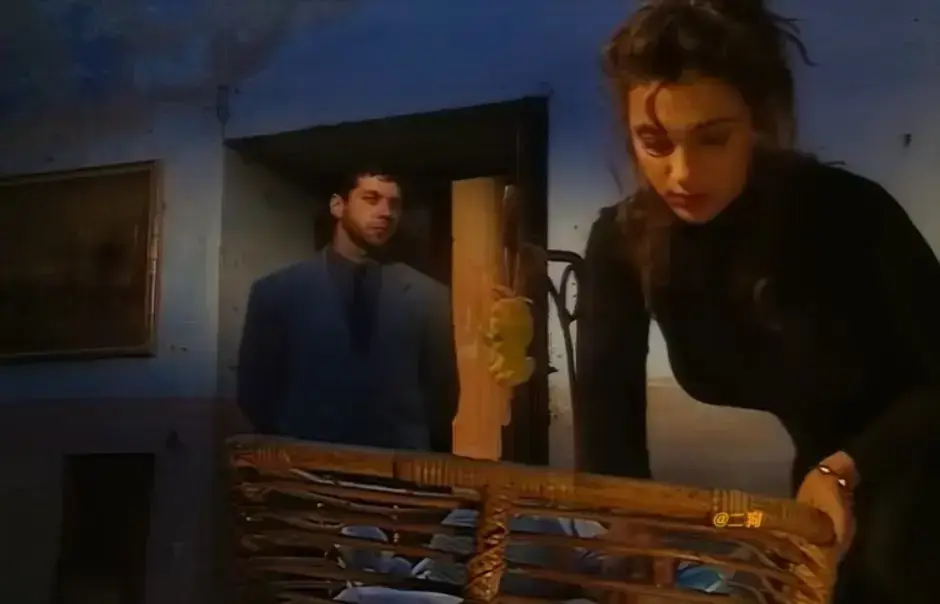 赛仑selen主演1994版《那不勒斯风格的剧本》蓝光原盘高清全集-意大利经典无删减完整版-免费在线看无广告网盘观看