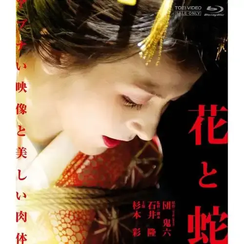 日本电影《花与蛇》高清完整版-《花与蛇》国语无删减在线观看-《花与蛇》夸克网盘4K下载-星辰影院