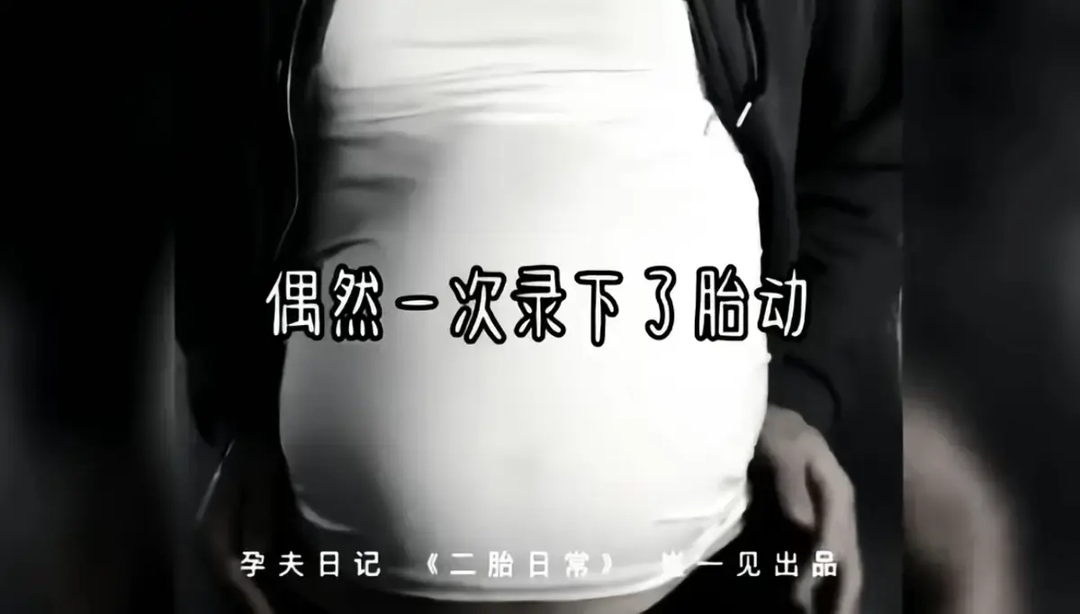 《崔一见孕夫日记》