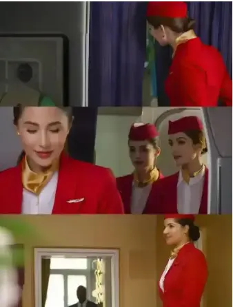 免费在线观看欧美电影《法国空乘4》-完整版全季高清播放-纯净极速无广告