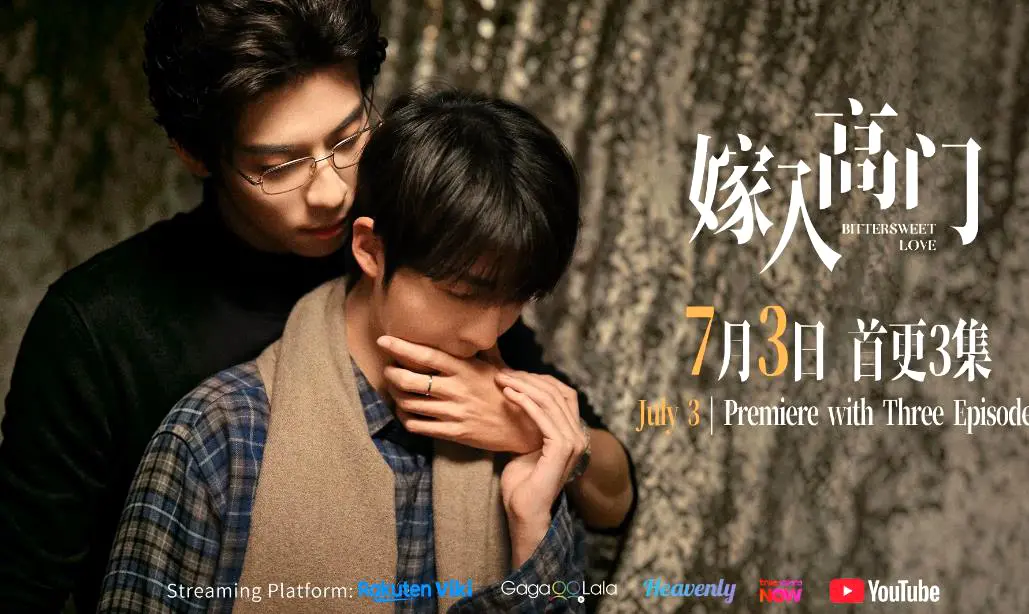 免费看《嫁入高门的男人》全22集，双男主爱情剧HD高清画质无卡顿-2026新剧《嫁入高门的男人》在线畅享-VS影院