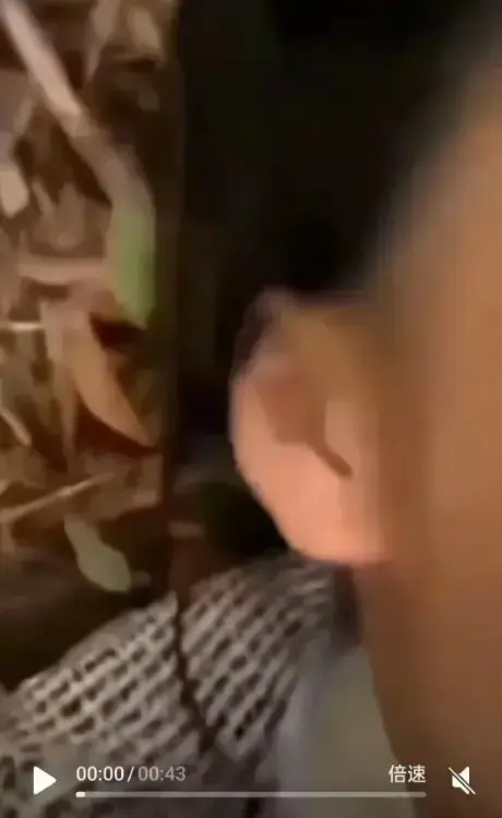 《女轻奢事件》不容错过！涵盖轻奢事件、双人大战，聚焦校园轻奢男孩，免费高清在线看，解锁轻奢二人组事件全貌！