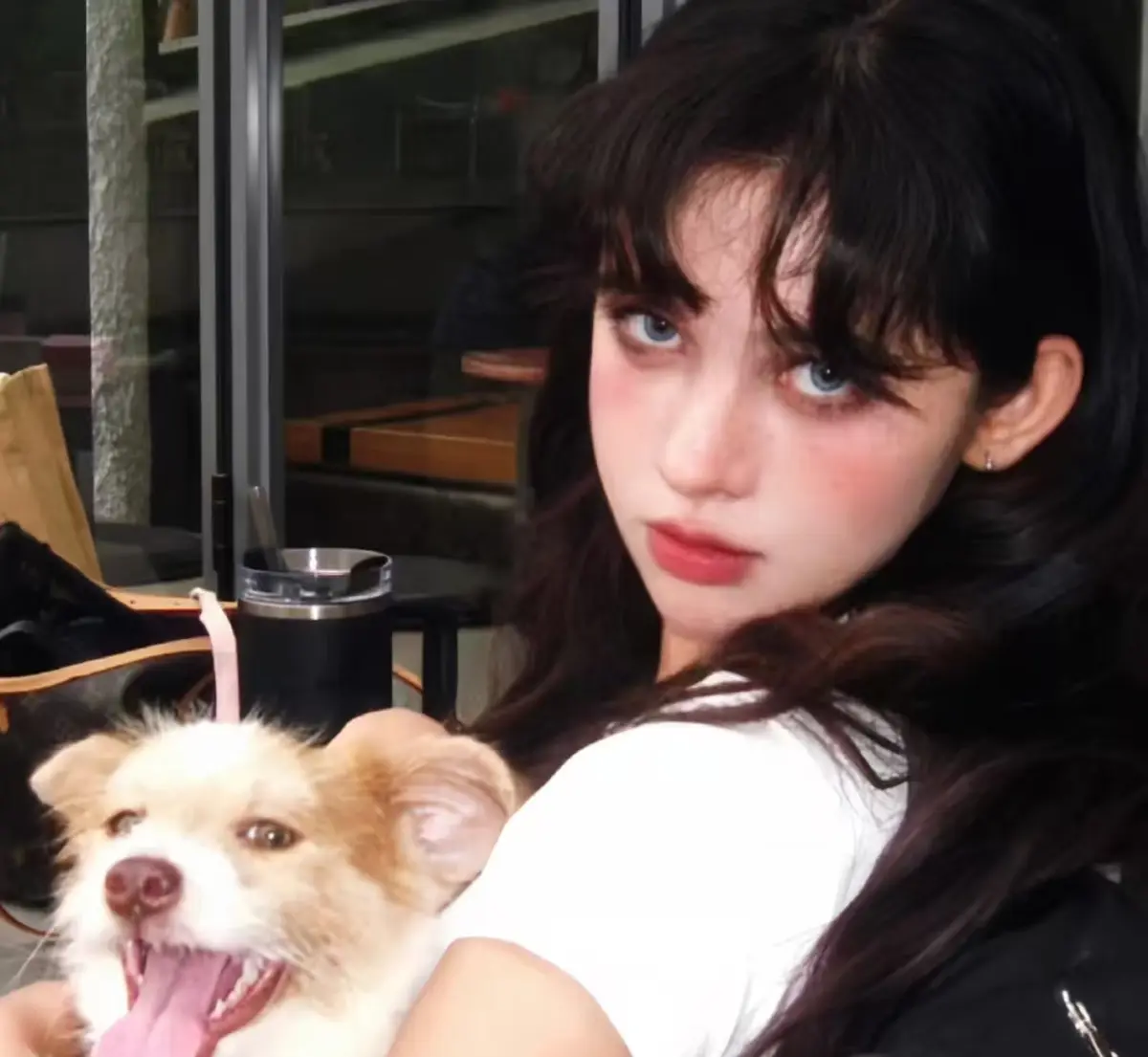 《特殊的按摩精油》全集中文HD未删减 - 免费在线观看无广告 - 《特殊的按摩精油》内嵌字幕附网盘